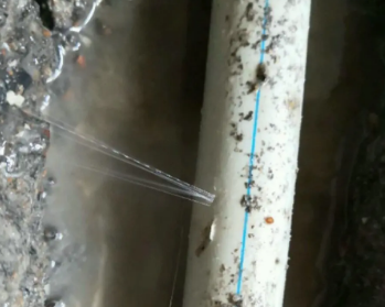 秀屿卫生间测漏水多少钱
