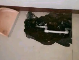 秀屿卫生间测漏水多少钱